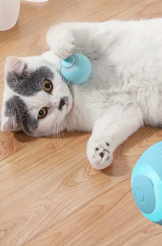 Interactive Electric Pink Rolling Ball Cat Toy