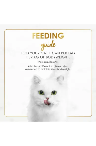 PURINA FANCY FEAST Classic Savory Salmon Wet Cat Food 85g can
