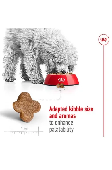 Royal Canin Mini Adult 8+ 2Kgs