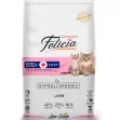 Felicia Kitten and Mother Lamb 2kg