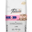 Felicia Kitten and Mother Lamb 12kg