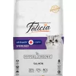 Felicia Urinary Care Adult Salmon Sterilized 12kg