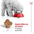 Royal Canin Mini Adult 8+ 2Kgs
