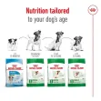 Royal Canin Mini Adult 8+ 2Kgs