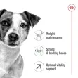 Royal Canin Mini Adult 8+ 2Kgs