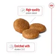 ROYAL CANIN Medium Adult - 4Kgs