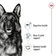 Royal Canin Maxi Adult - 4Kg