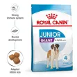 Royal Canin Giant Junior - 15 Kg