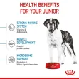 Royal Canin Giant Junior - 15 Kg
