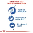 Royal Canin Indoor Long Hair - 2Kg