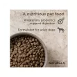 DIAMOND NATURALS LAMB & RICE ADULT DOG